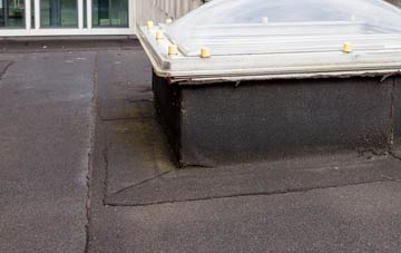 disadvantages of Broomhaugh flat roofs